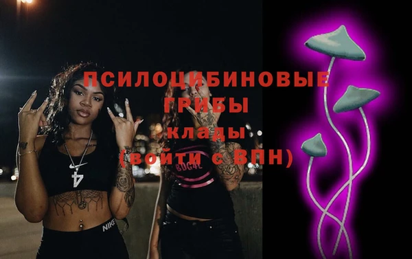 стафф Абаза