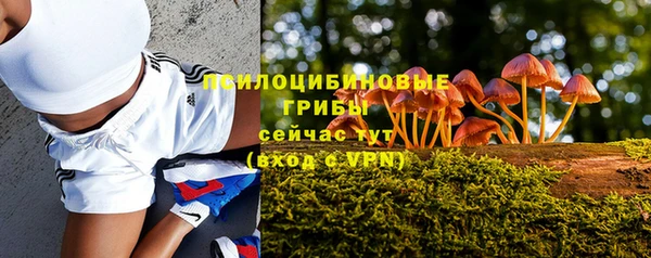 ПСИЛОЦИБИНОВЫЕ ГРИБЫ Алзамай
