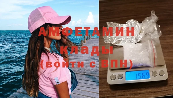 ПСИЛОЦИБИНОВЫЕ ГРИБЫ Алзамай